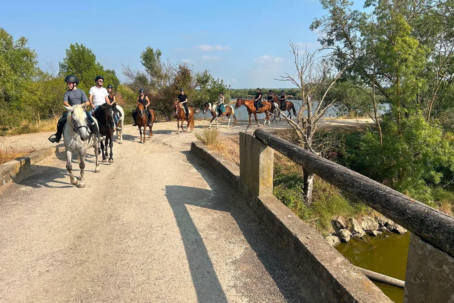 Un groupe de cavaliers en file sur une digue au bord de l'étang