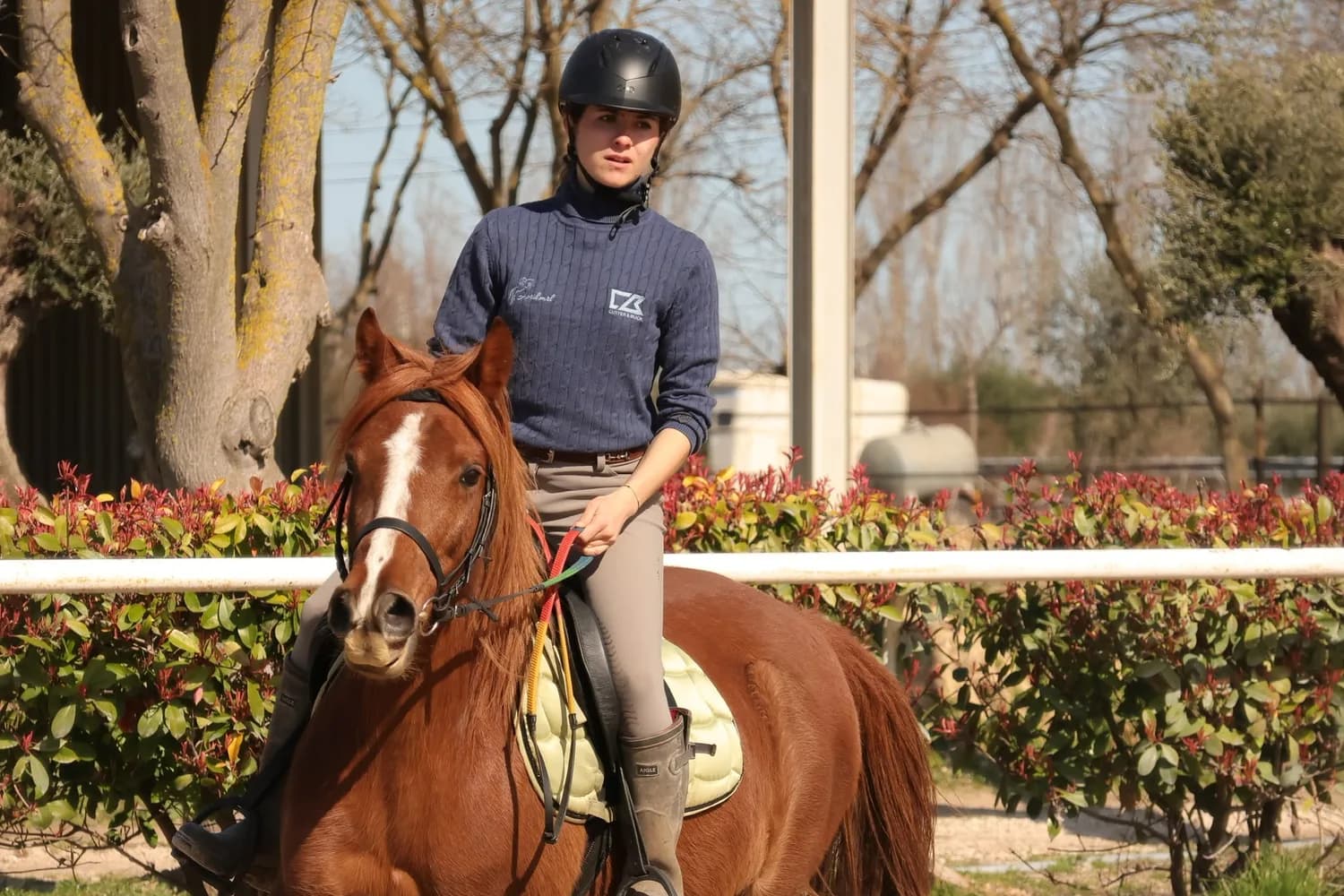 Une cavalière et son cheval dans la carrière du club