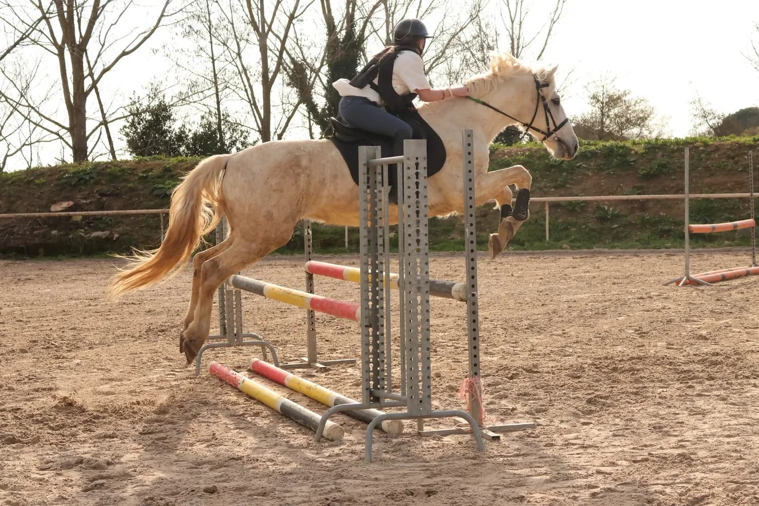 Une cavalière franchit un obstacle dans la carrière, à contre-jour